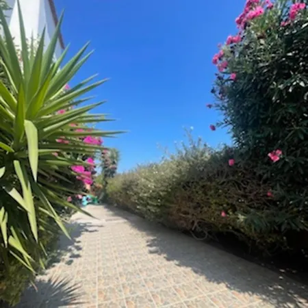 Annalisarose アヤナパ