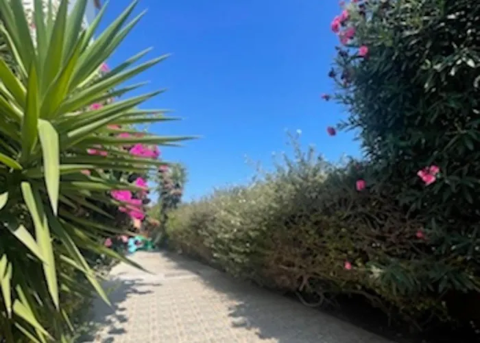 Annalisarose Ayia Napa